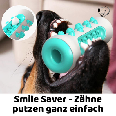 Smile Saver - Zähne putzen ganz einfach
