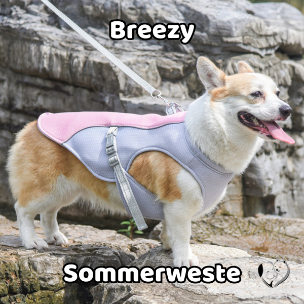 Breezy - Sommer Hundeweste