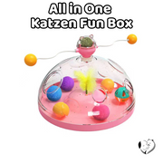 All in One Katzen Fun Box