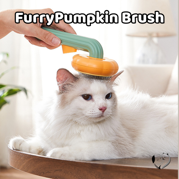 -30% FurryPumpkin Brush