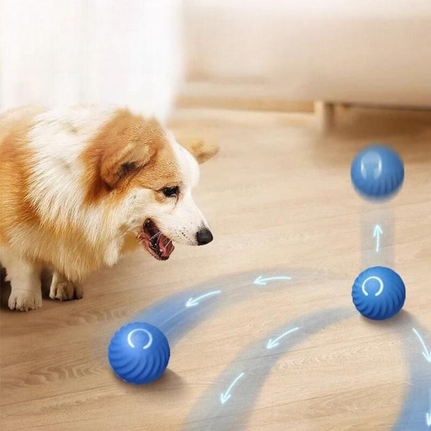 -20% Interaktiver LED-Spielzeugball für Haustiere