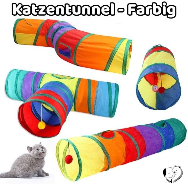 Katzentunnel - Farbig
