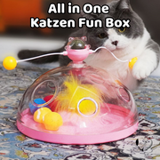 All in One Katzen Fun Box
