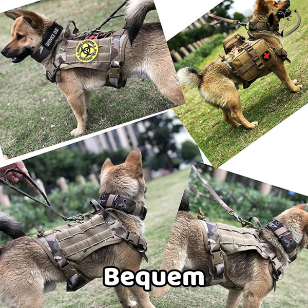 Militärisches Hundegeschirr