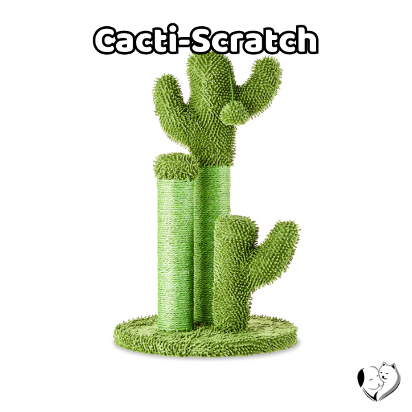 Cacti Scratch