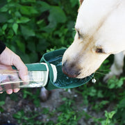 Haustier-Wasserflasche