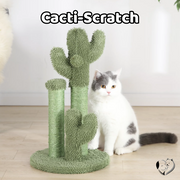 Cacti Scratch