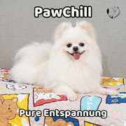PawChill Hundematte