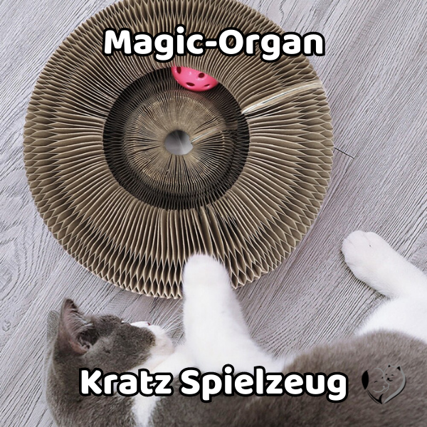 Magic-Organ Kratz Spielzeug