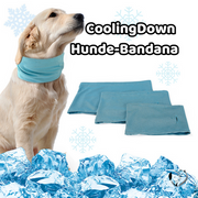 CoolingDown Hunde-Bandana