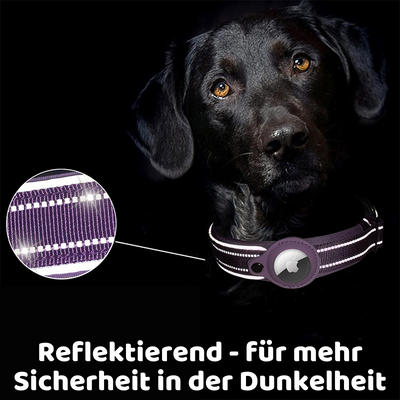 -40% AirTag Hundehalsband