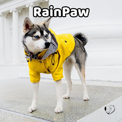 -20% RainPaw Hunde Regenmantel