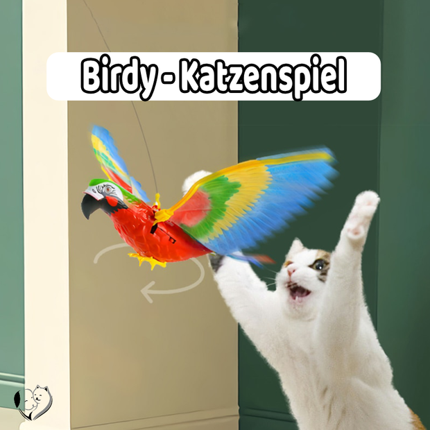 -50% Birdy - Katzenspiel
