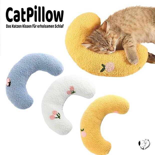 -30% CatPillow
