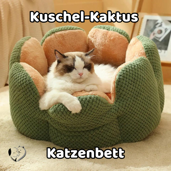 -25% Kuschel-Kaktus Katzenbett