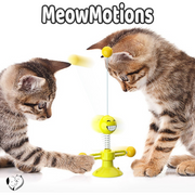 MeowMotions
