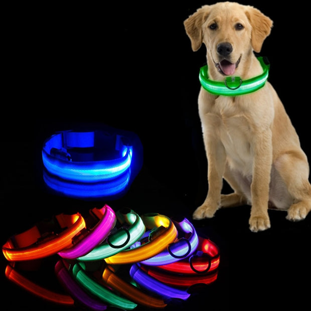 Pawland LED Hundehalsband