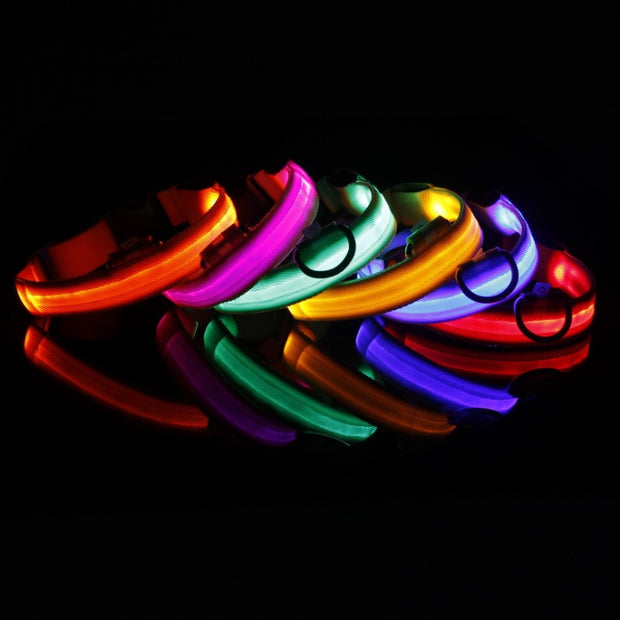 Pawland LED Hundehalsband