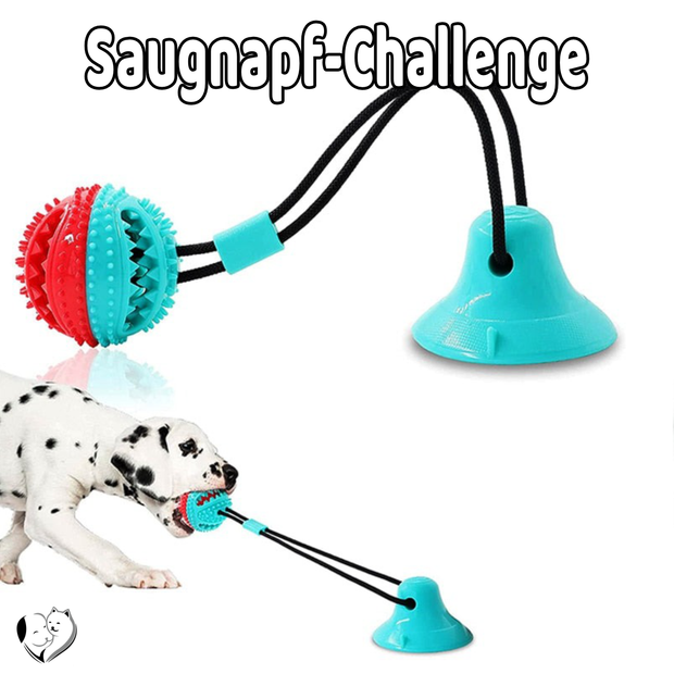 -20% Saugnapf-Challenge Spielspass mit Snacks