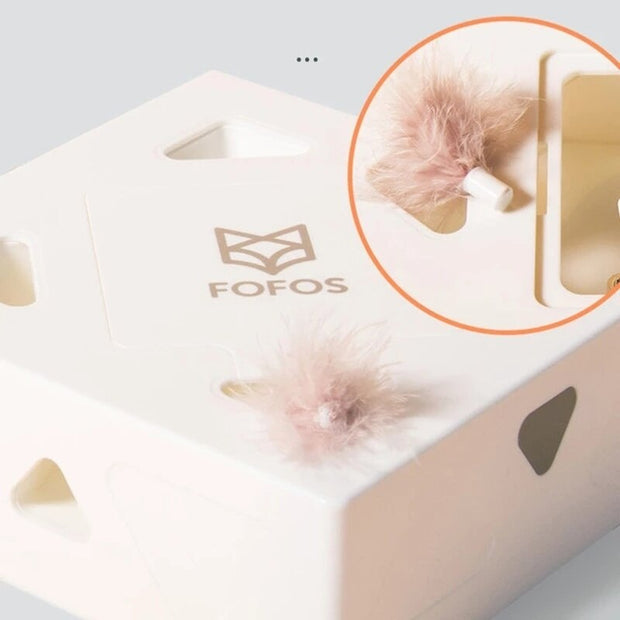 Magic Box - Interaktives Katzenfederspielzeug