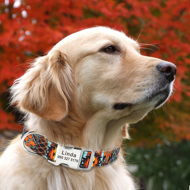-15% personalisiertes Hundehalsband