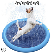 SplashPad - Das Original