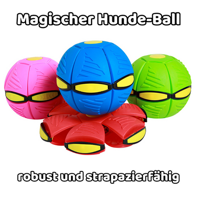 -30% Magischer Hunde-Ball